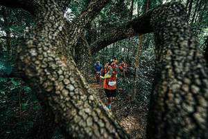 BIB: 
                            <button type="button" onclick="openModal(25392479)" class="btn btn-primary btn-sm float-right btn-popup" data-toggle="modal" data-target=".modal-high-quality">
                        <i class="fas fa-shopping-cart"></i> Add to Cart
                    </button>
                                            <button type="button" onclick="isThisMe(25392479, true)" class="btn btn-success btn-sm float-right btn-popup btn-isme hidden" data-toggle="tooltip" data-placement="bottom" title="นี่คือรูปของคุณใช่ไหม คลิกที่นี่เพื่อเอาเข้าอัลบั้ม">
                        <i class="fas fa-plus"></i> Add to album
                    </button>
                    <button type="button" onclick="isThisMe(25392479, false)" class="btn btn-warning btn-sm float-right btn-popup btn-isnotme hidden">
                        <i class="fas fa-ban"></i> Remove from album
                    </button>